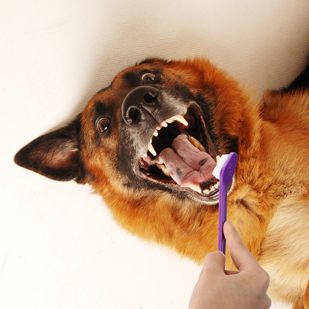 Dual Ended Dog Toothbrush