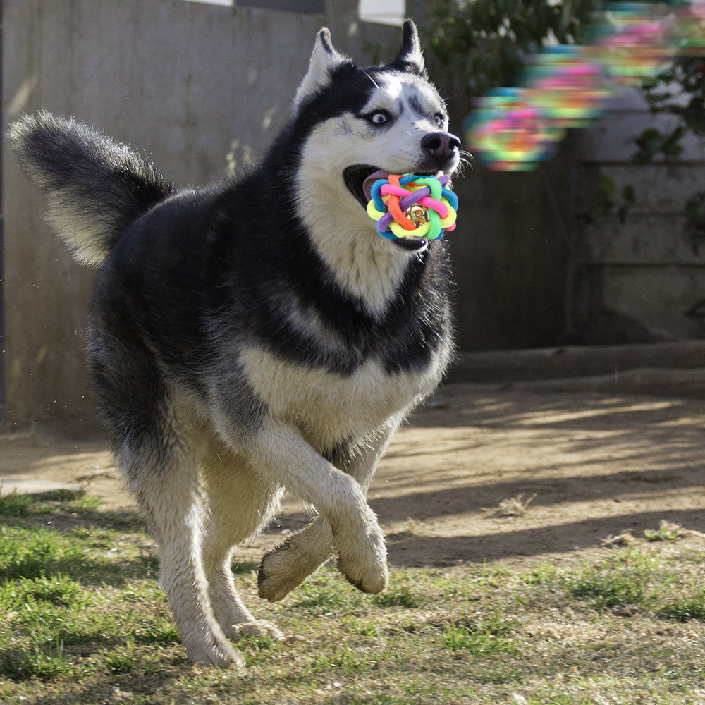 Colorful Toy Rubber Ball With Interactive Bell for Cats And Dogs