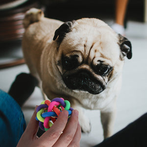 Colorful Toy Rubber Ball With Interactive Bell for Cats And Dogs