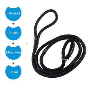 Adjustable Traction Rope Slip Lead And Collar Combination